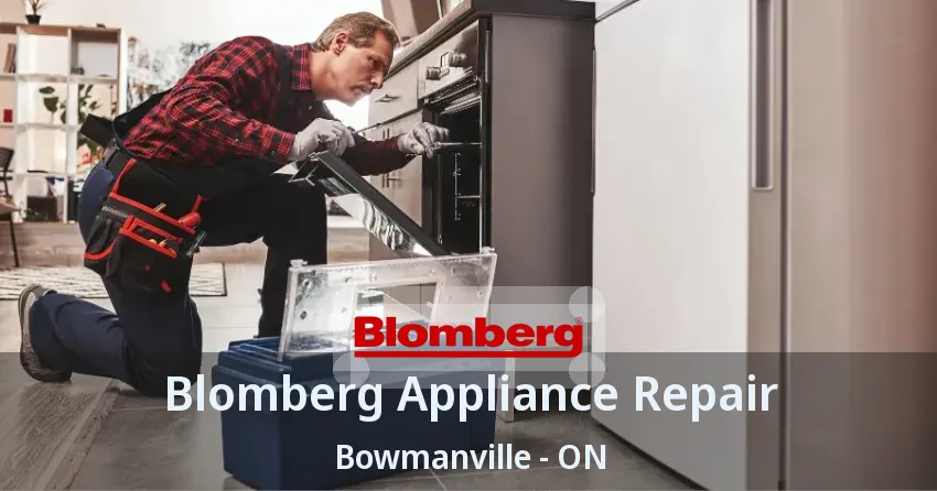 Blomberg Appliance Repair Bowmanville - ON