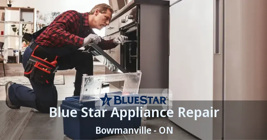 Blue Star Appliance Repair Bowmanville - ON