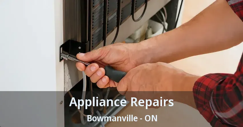 Appliance Repairs Bowmanville - ON