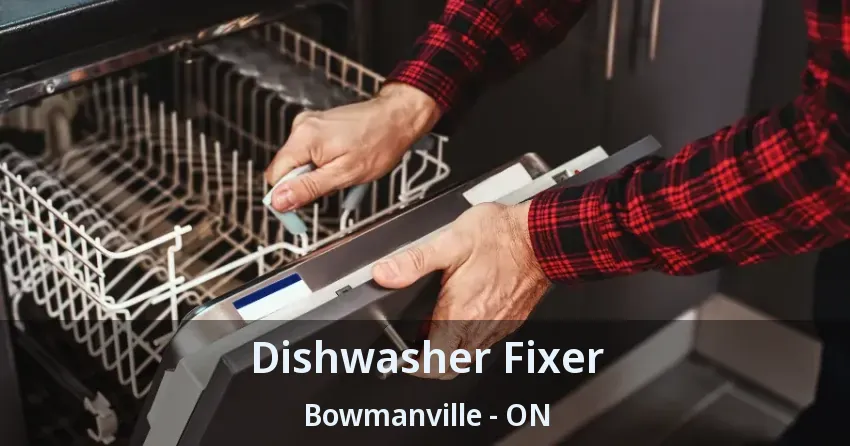 Dishwasher Fixer Bowmanville - ON