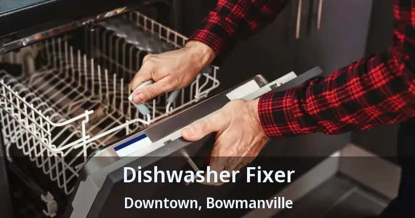 Dishwasher Fixer Downtown, Bowmanville - ON