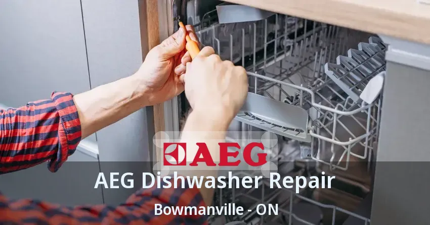 AEG Dishwasher Repair Bowmanville - ON