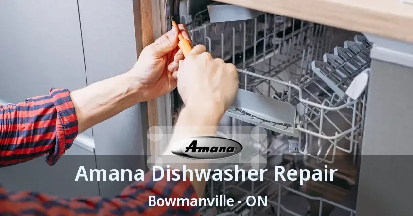 Amana Dishwasher Repair Bowmanville - ON