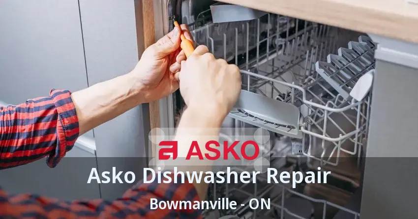 Asko Dishwasher Repair Bowmanville - ON