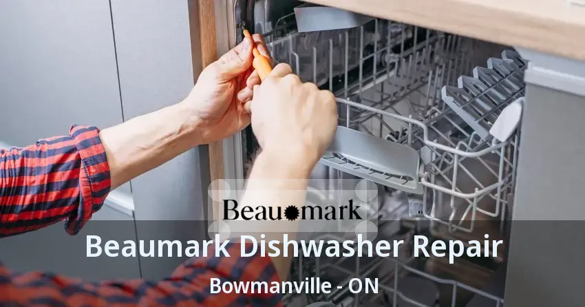 Beaumark Dishwasher Repair Bowmanville - ON