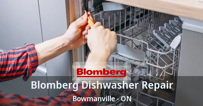 Blomberg Dishwasher Repair Bowmanville - ON