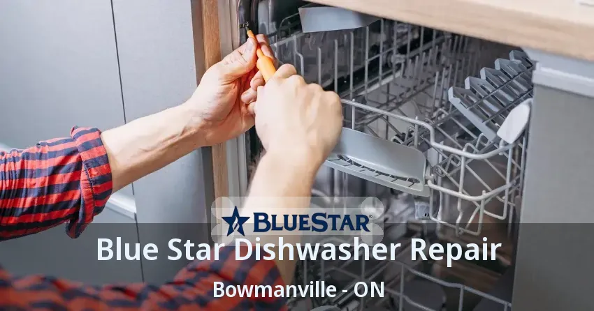 Blue Star Dishwasher Repair Bowmanville - ON