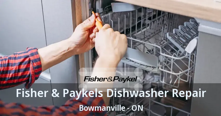 Fisher & Paykels Dishwasher Repair Bowmanville - ON