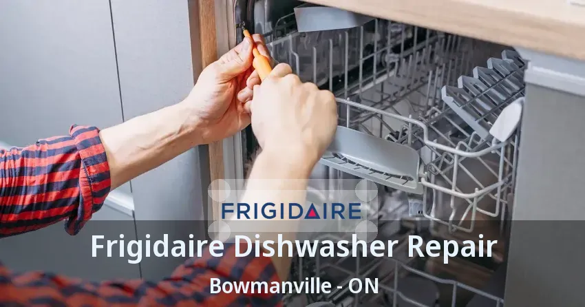 Frigidaire Dishwasher Repair Bowmanville - ON