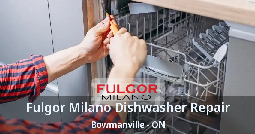 Fulgor Milano Dishwasher Repair Bowmanville - ON
