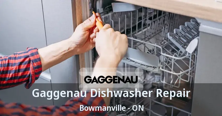 Gaggenau Dishwasher Repair Bowmanville - ON