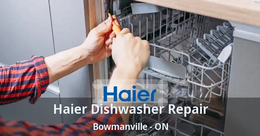 Haier Dishwasher Repair Bowmanville - ON