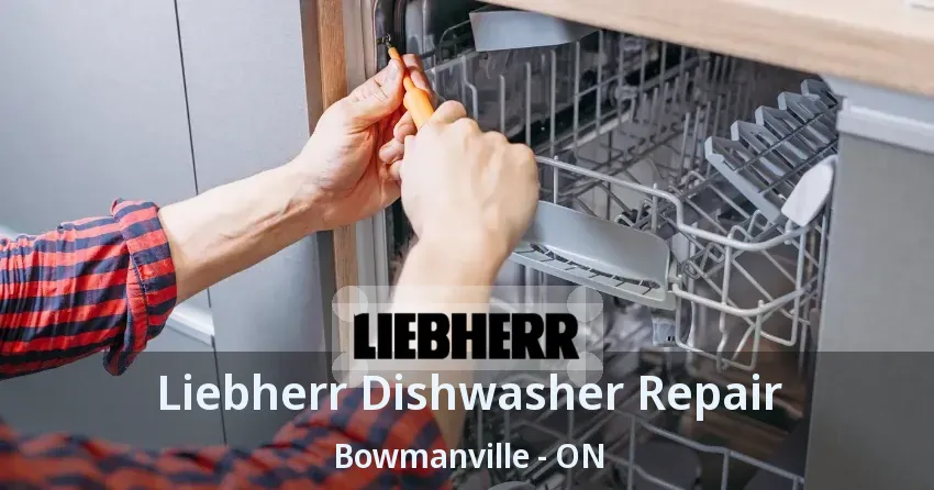 Liebherr Dishwasher Repair Bowmanville - ON