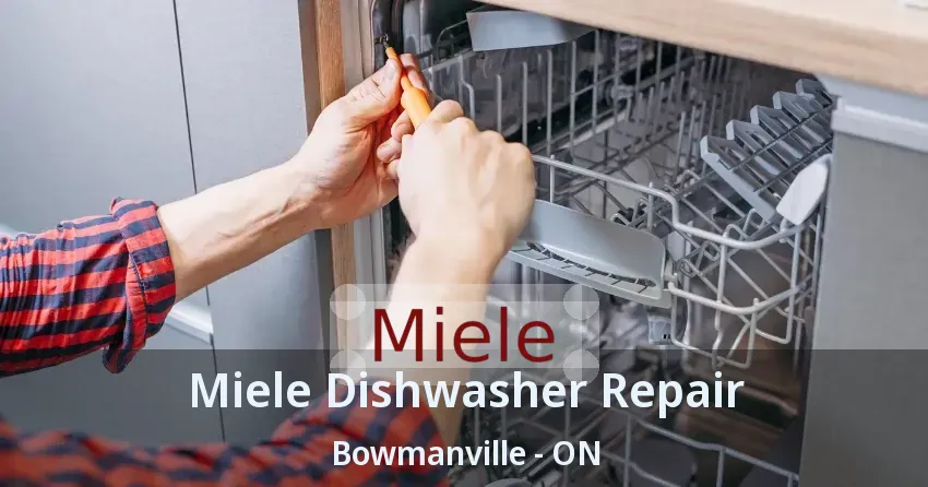 Miele Dishwasher Repair Bowmanville - ON