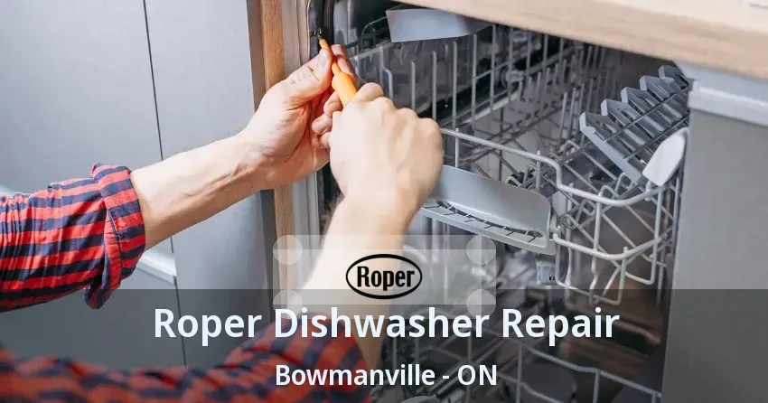 Roper Dishwasher Repair Bowmanville - ON