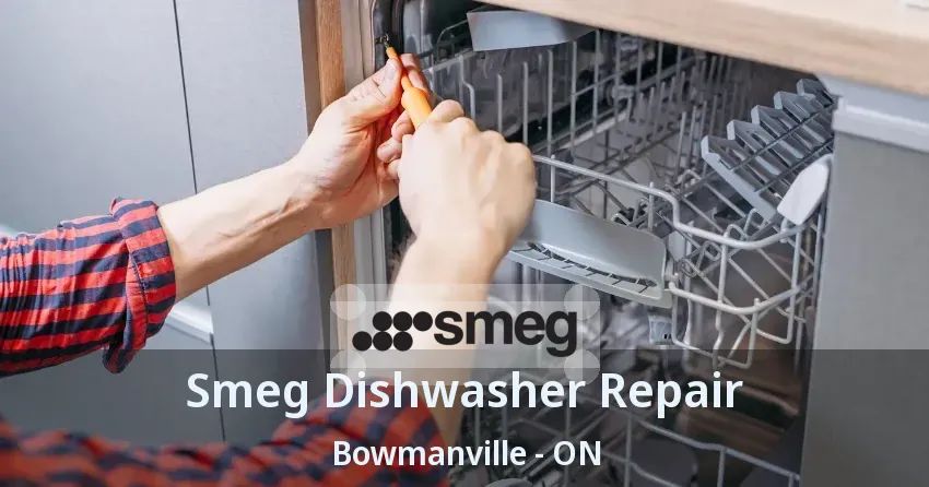 Smeg Dishwasher Repair Bowmanville - ON