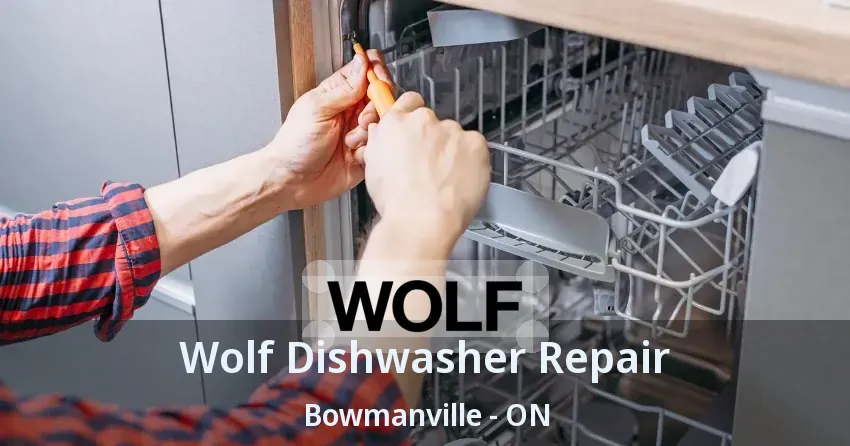Wolf Dishwasher Repair Bowmanville - ON