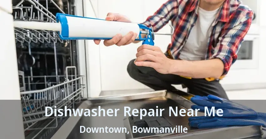 Dishwasher Repair Near Me Downtown, Bowmanville - ON