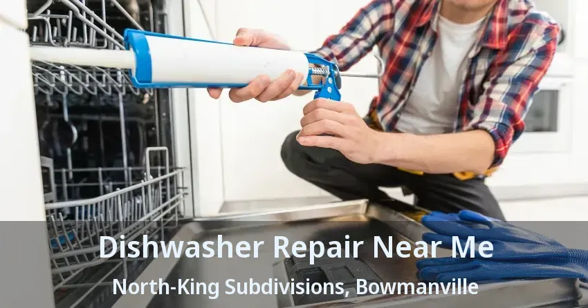 Dishwasher Repair Near Me North-King Subdivisions, Bowmanville - ON
