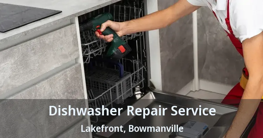 Dishwasher Repair Service Lakefront, Bowmanville - ON
