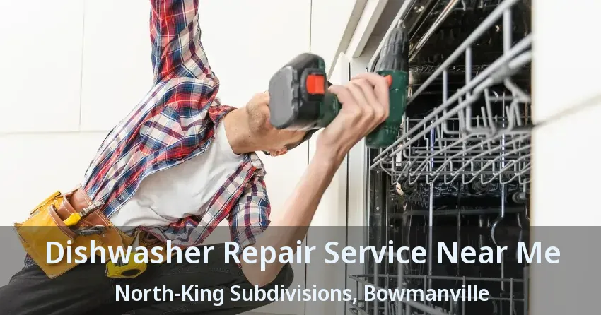 Dishwasher Repair Service Near Me North-King Subdivisions, Bowmanville - ON