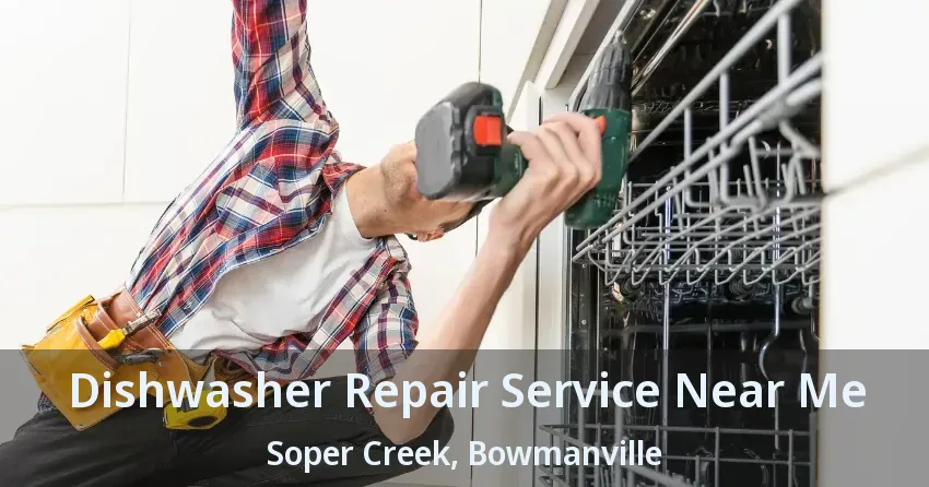 Dishwasher Repair Service Near Me Soper Creek, Bowmanville - ON