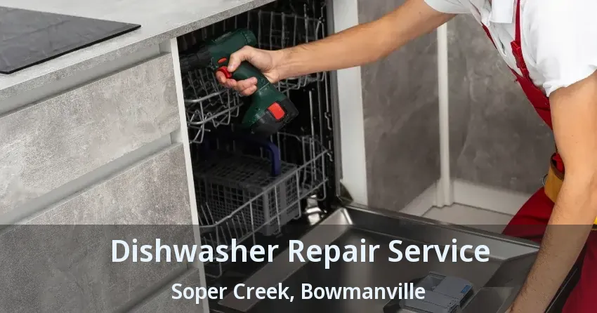 Dishwasher Repair Service Soper Creek, Bowmanville - ON
