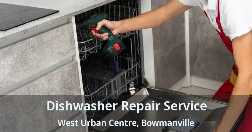 Dishwasher Repair Service West Urban Centre, Bowmanville - ON