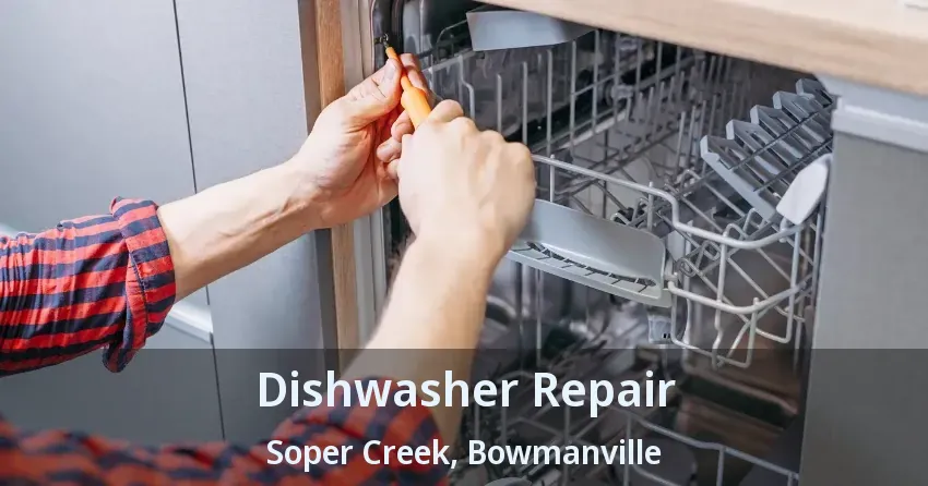 Dishwasher Repair Soper Creek, Bowmanville - ON