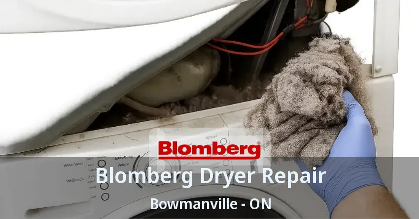 Blomberg Dryer Repair Bowmanville - ON