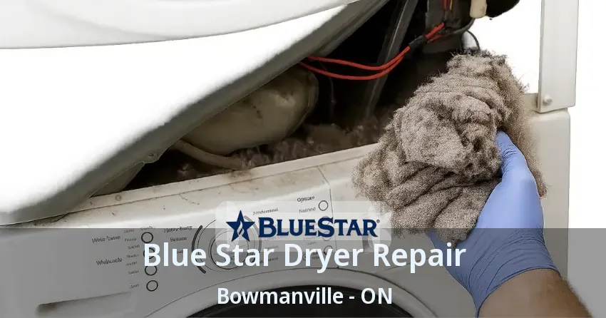 Blue Star Dryer Repair Bowmanville - ON