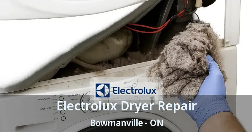 Electrolux Dryer Repair Bowmanville - ON