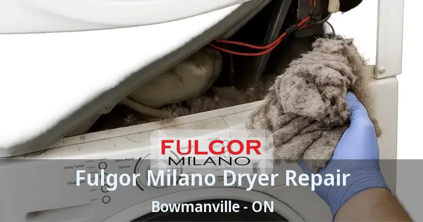 Fulgor Milano Dryer Repair Bowmanville - ON