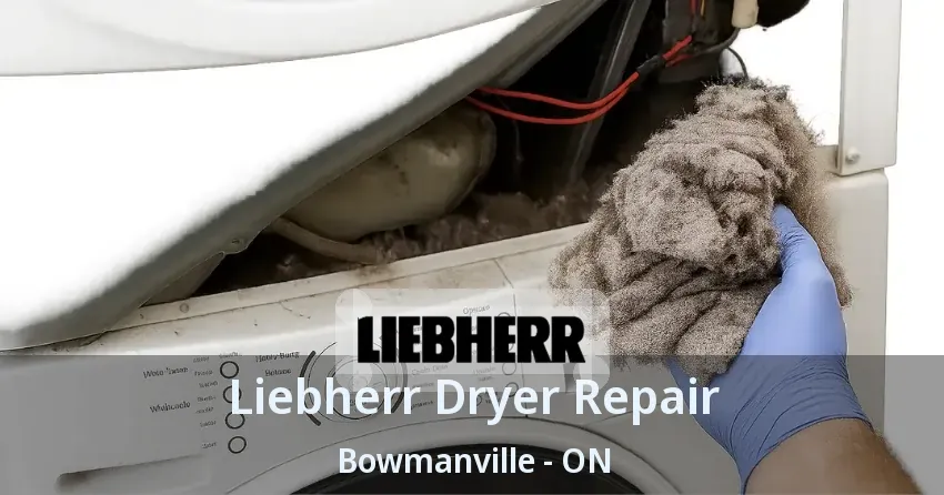 Liebherr Dryer Repair Bowmanville - ON