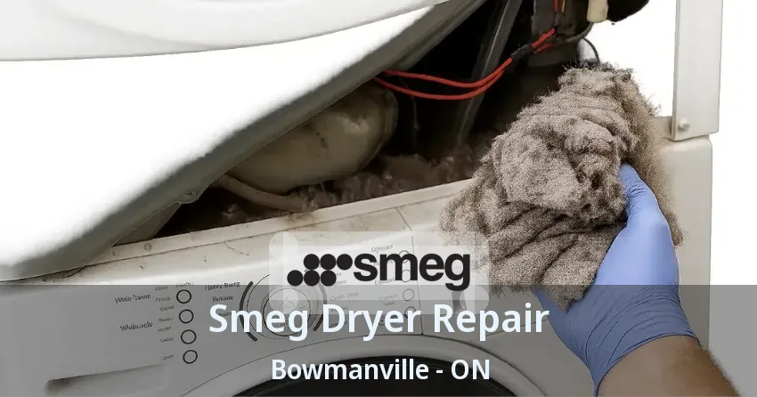 Smeg Dryer Repair Bowmanville - ON