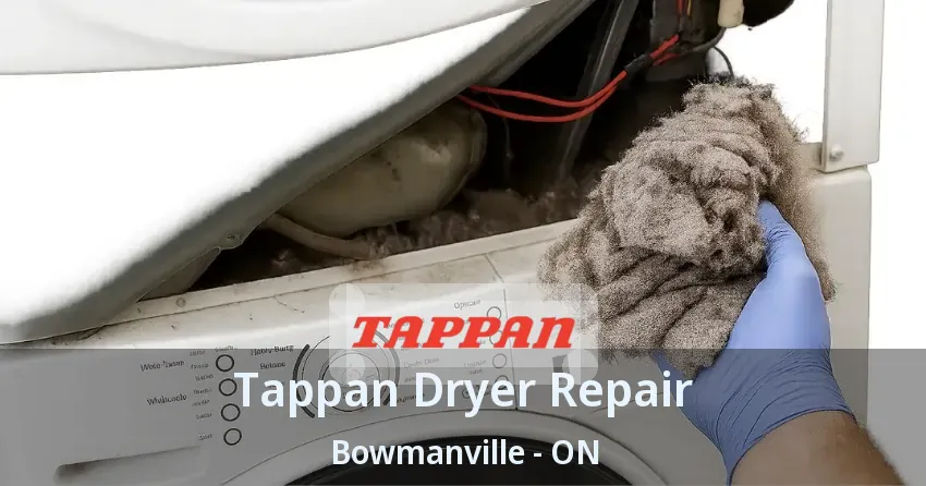 Tappan Dryer Repair Bowmanville - ON