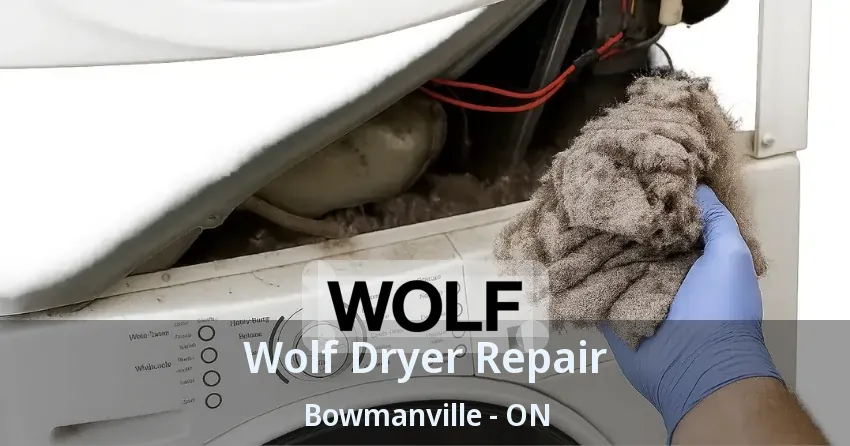 Wolf Dryer Repair Bowmanville - ON