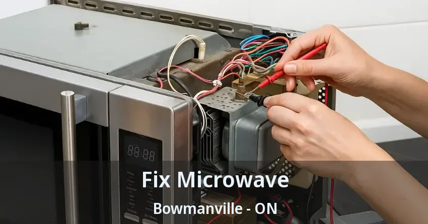Fix Microwave Bowmanville - ON