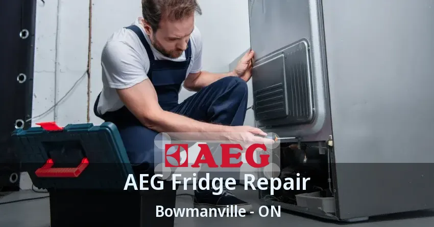 AEG Fridge Repair Bowmanville - ON