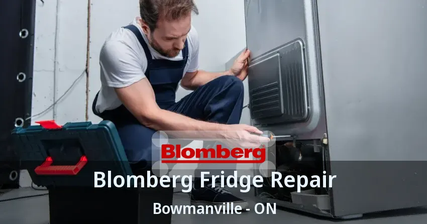 Blomberg Fridge Repair Bowmanville - ON