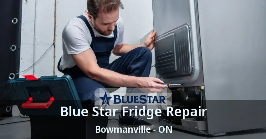 Blue Star Fridge Repair Bowmanville - ON