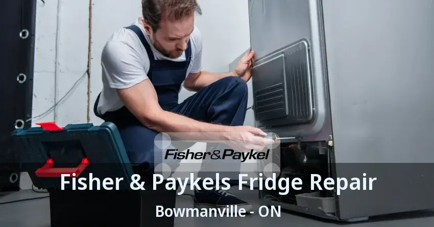 Fisher & Paykels Fridge Repair Bowmanville - ON