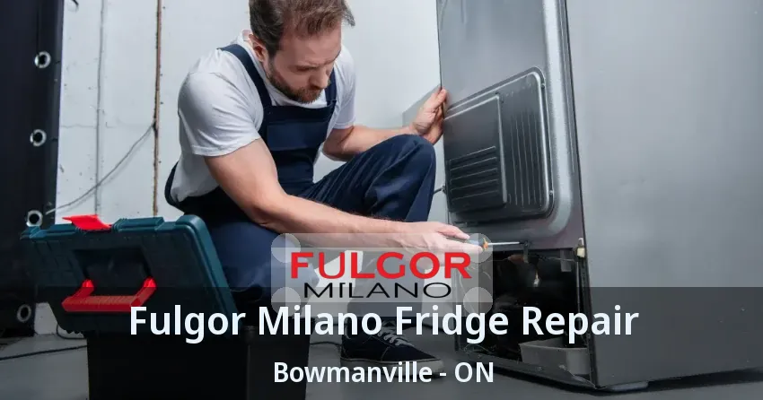 Fulgor Milano Fridge Repair Bowmanville - ON