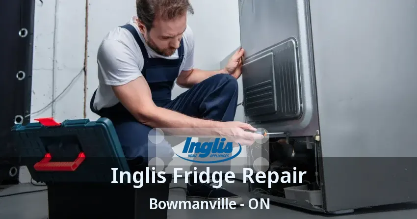 Inglis Fridge Repair Bowmanville - ON