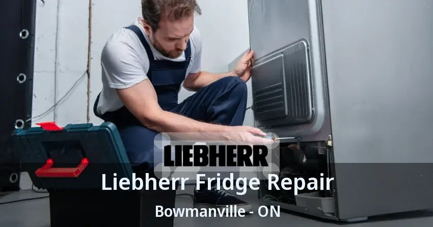 Liebherr Fridge Repair Bowmanville - ON