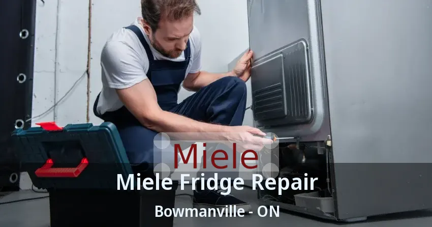 Miele Fridge Repair Bowmanville - ON