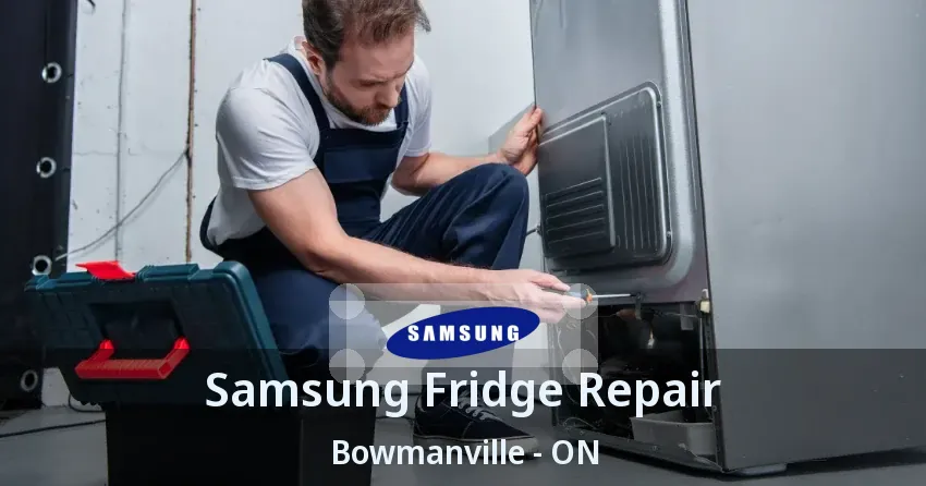 Samsung Fridge Repair Bowmanville - ON