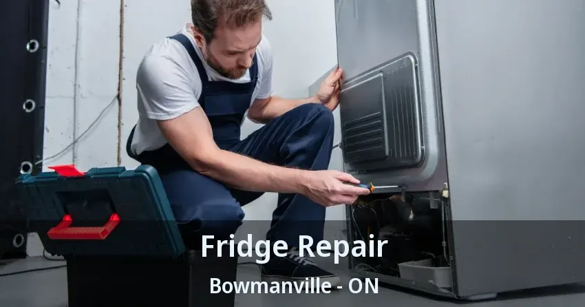 Fridge Repair Bowmanville - ON