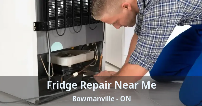 Fridge Repair Near Me Bowmanville - ON