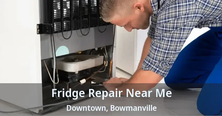 Fridge Repair Near Me Downtown, Bowmanville - ON